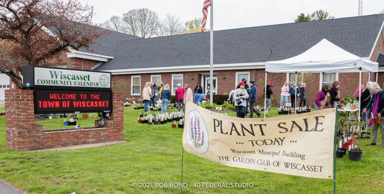 Plant Sale at the Town offices